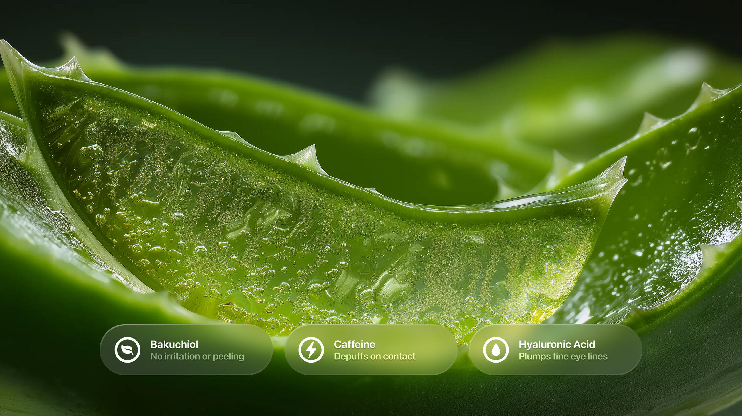 Aloe vera gel close-up with bakuchiol, caffeine and hyaluronic acid ingredient callouts