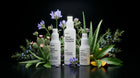 RNEUX AGELESS anti-aging routine with bakuchiol and botanical ingredients on dark background