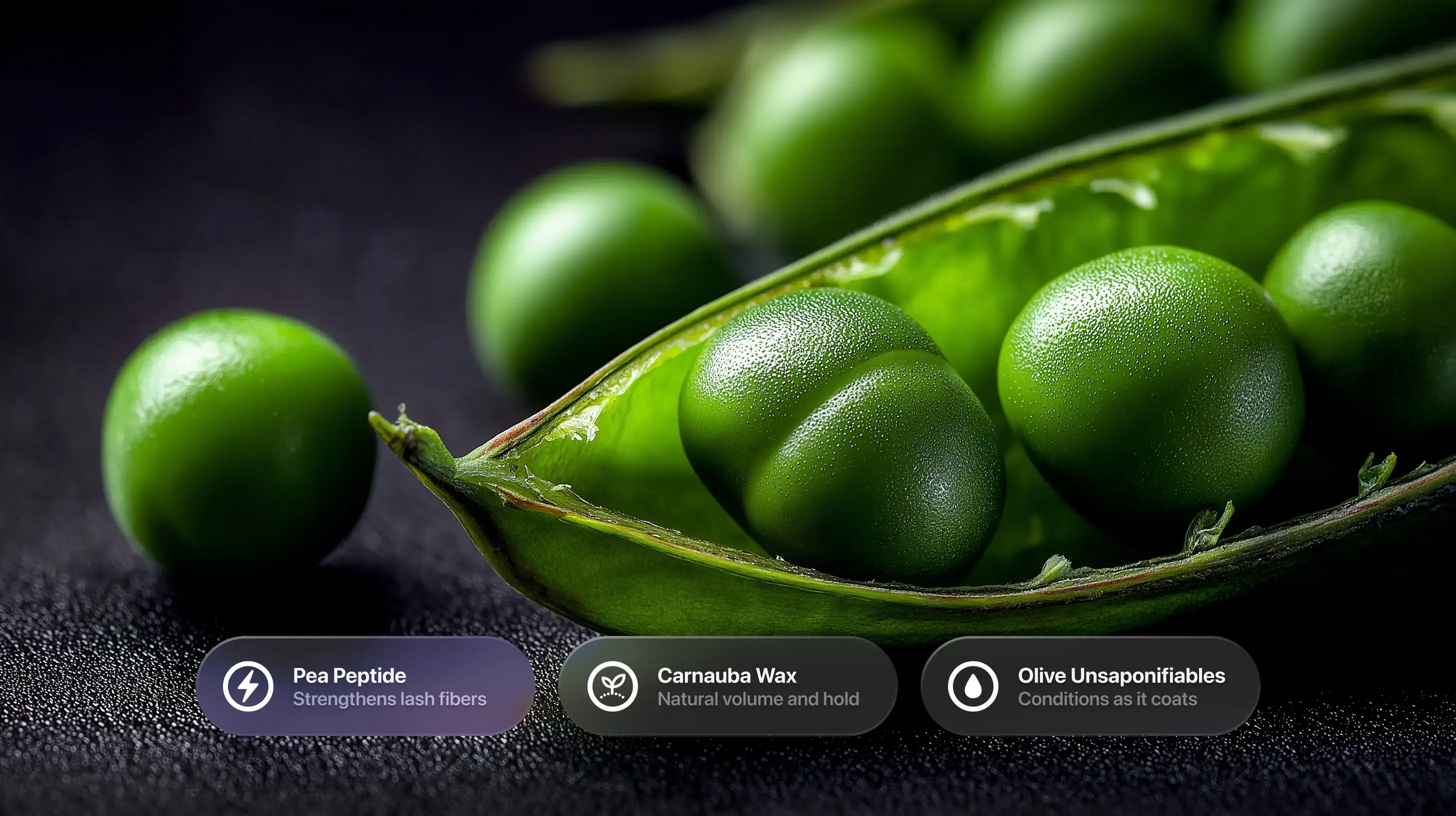 Peas with pea peptide, carnauba wax and olive unsaponifiables ingredient callouts