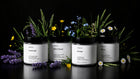 ARNEUX ILLUMINATE candle set with lavender and wild flower botanicals on dark background