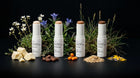 All four BLEND ceramide stick shades with cocoa butter, cacao, sea buckthorn and other ingredients on black