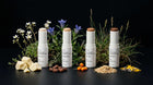 All four BLEND ceramide stick shades with cocoa butter, cacao, sea buckthorn and other ingredients on black