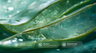 Aloe vera leaf cross-section with argan oil, aloe vera and hyaluronic acid ingredient callouts