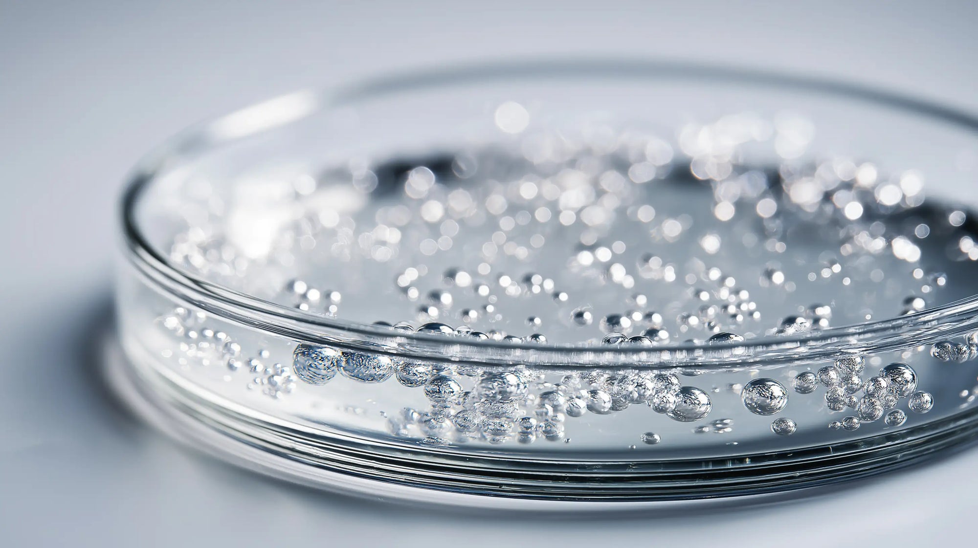 Glass petri dish with clear hydrating gel micro-droplets, showing oil-free formula up close