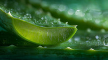 Aloe vera leaf cut open showing hydrating gel with water droplets, key ingredient in DISSOLVE remover