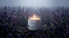 Arneux LAVENDER travel candle burning in purple lavender field, natural soy wax travel candles category