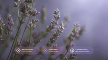 Purple lavender stems close-up with natural soy wax, cotton wick and lavender extract ingredient callouts