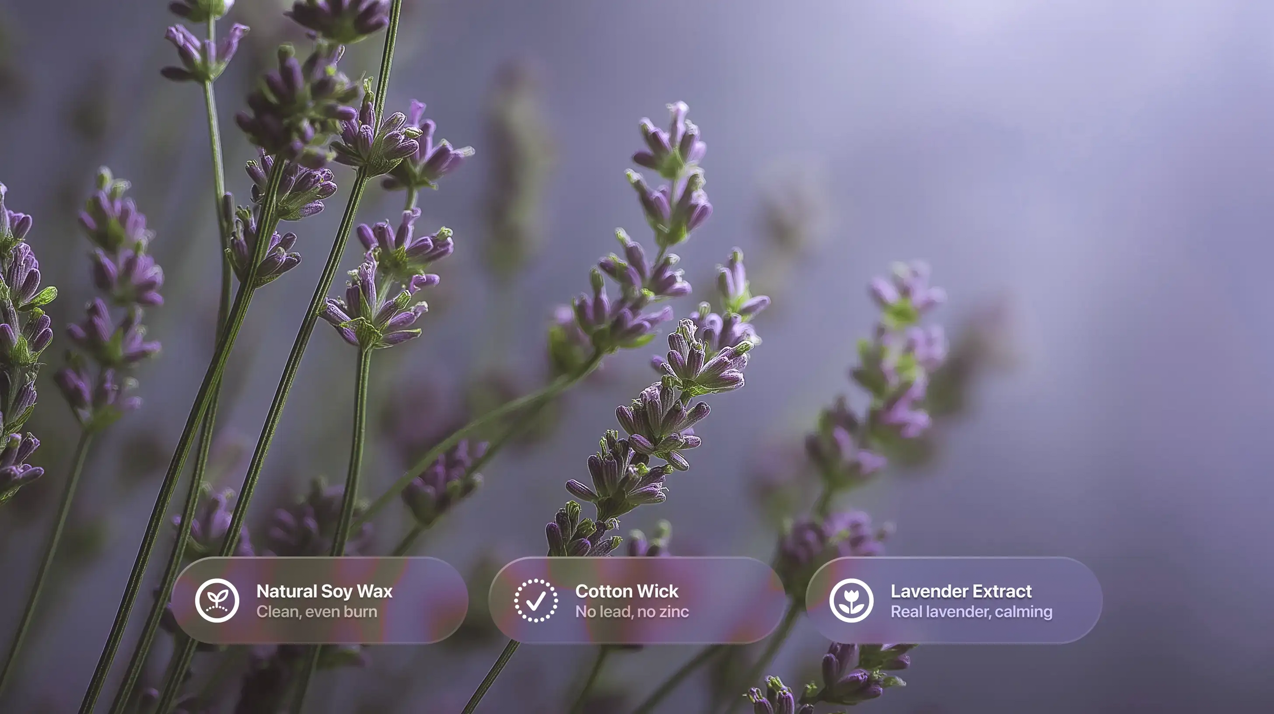 Purple lavender stems close-up with natural soy wax, cotton wick and lavender extract ingredient callouts