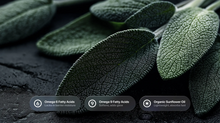 Dark sage leaves with omega 6 fatty acids, omega 9 fatty acids and organic sunflower oil ingredient callouts
