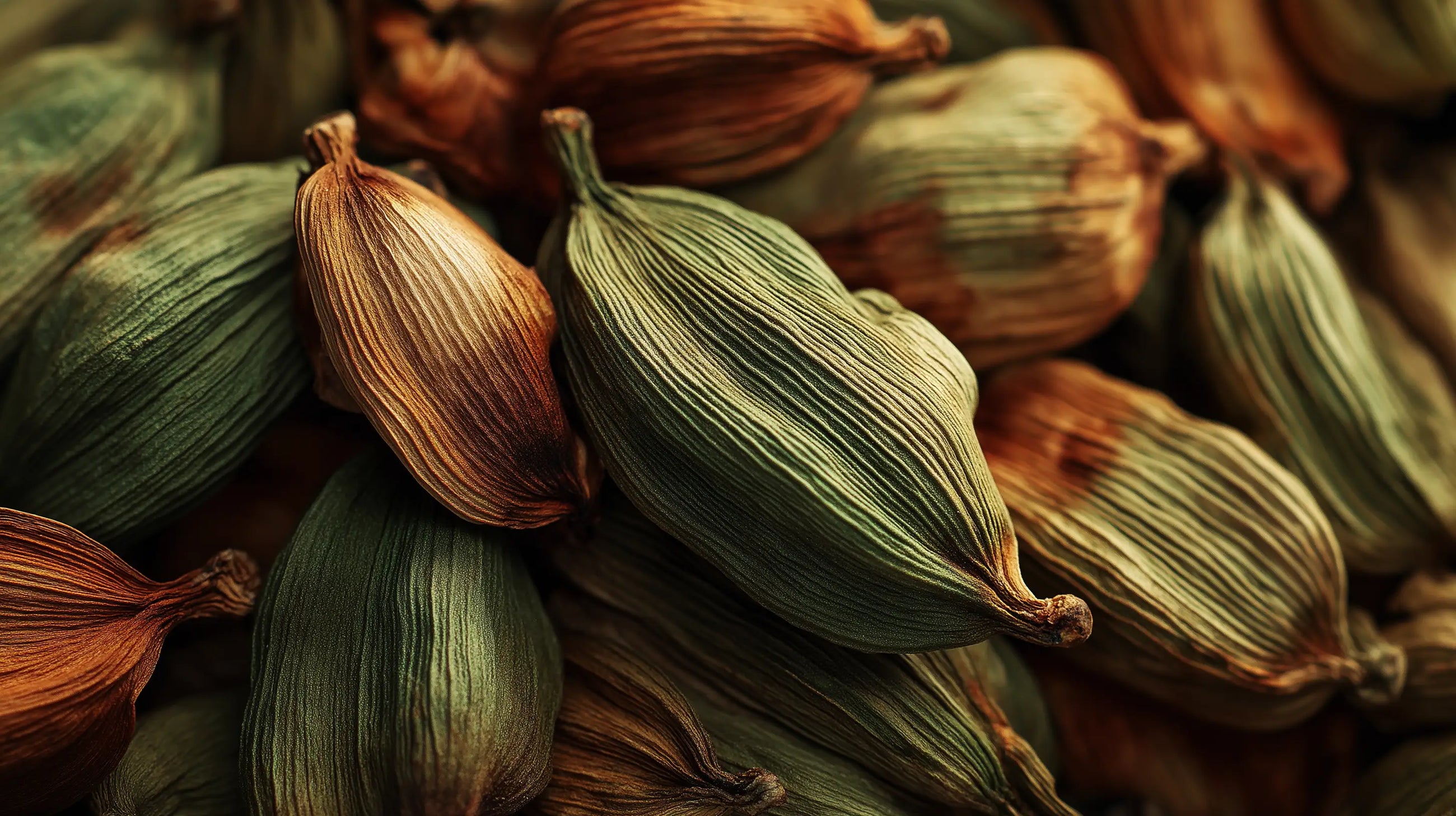 Dried cardamom pods close-up, aromatic botanical ingredient in REFRESH prebiotic face mist