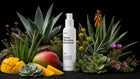 RENEW moisturizer bottle with agave, aloe, mango, succulents and wildflowers on black background