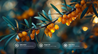 Sea buckthorn berries on branch with bakuchiol, argan oil and aloe vera ingredient callouts