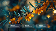 Sea buckthorn berries on branch with bakuchiol, argan oil and aloe vera ingredient callouts