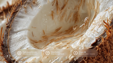 Open coconut showing flesh and fibres with hydrolysed keratin, shea butter and argan oil callouts
