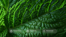 Textured peppermint leaf close-up with rosemary extract, peppermint oil and natural granules callouts