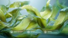 Broad green tropical leaves with organic shea butter, bisabolol and squalane ingredient callouts