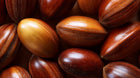Polished shea nuts close-up, source of intensive organic shea butter in REST overnight cream