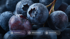 Dewy blueberries close-up with Hexapeptide-11, high bush blueberry and hyaluronic acid callouts