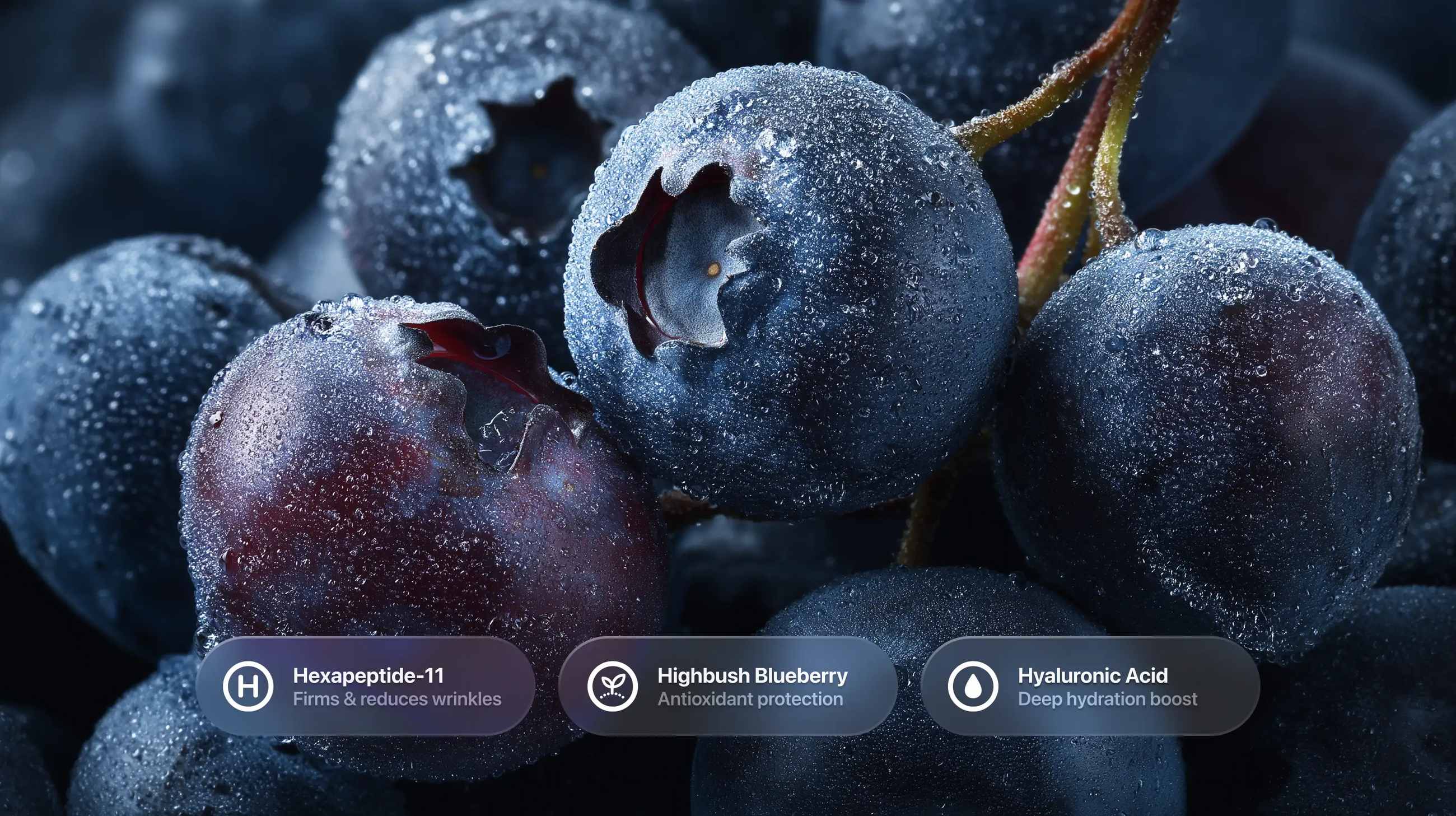 Dewy blueberries close-up with Hexapeptide-11, high bush blueberry and hyaluronic acid callouts