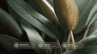 Dark green sage leaves close-up with rosemary oil, jojoba oil and argan oil ingredient callouts