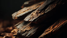 Dark textured bark pieces close-up, natural prebiotic extract ingredient in SHIELD barrier serum