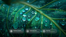 Dark green leaf with water droplets, prebiotic complex hyaluronic acid and aloe vera callouts