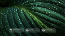 Dark green tropical leaf with water droplets, hydrolysed keratin argan oil pro-vitamin B5 callouts