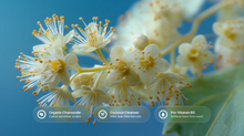 White linden blossoms with organic chamomile, coconut cleanser and Pro-Vitamin B5 ingredient callouts