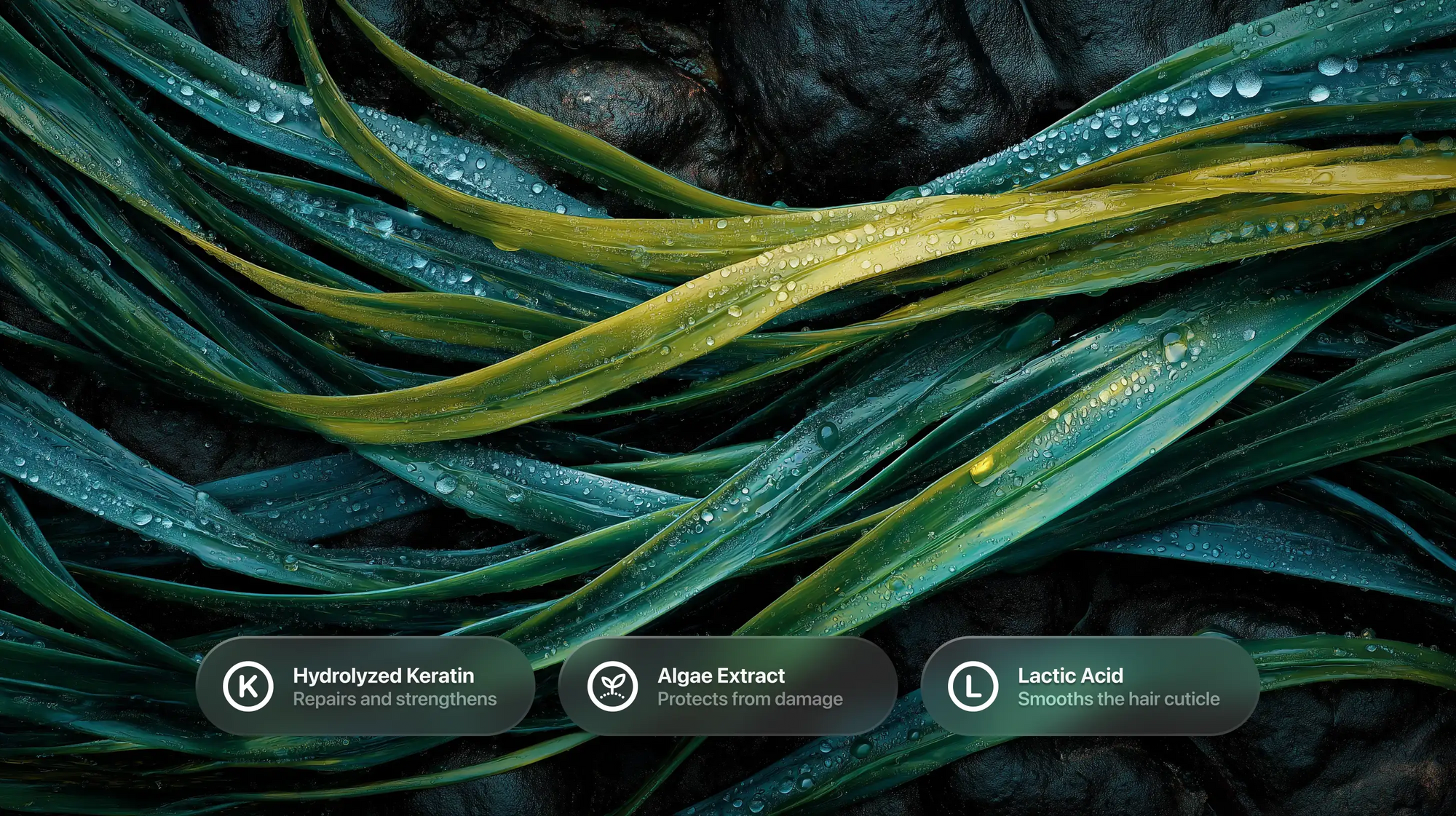 Layered green plant leaves with hydrolyzed keratin, algae extract and lactic acid ingredient callouts