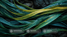 Layered green plant leaves with hydrolyzed keratin, algae extract and lactic acid ingredient callouts