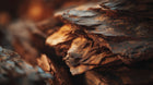Dark layered bark close-up, natural botanical extract ingredient in WASH keratin volume shampoo