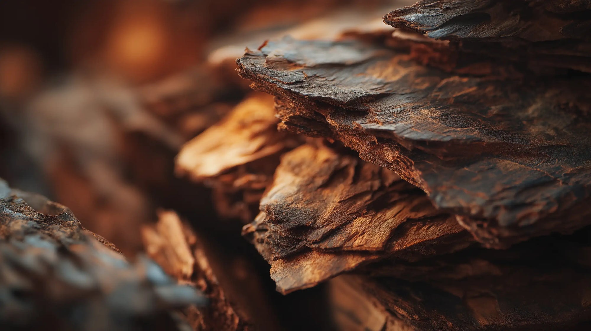 Dark layered bark close-up, natural botanical extract ingredient in WASH keratin volume shampoo