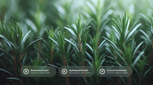 Dense rosemary plants with rosemary extract, hydrolyzed keratin and coconut surfactant ingredient callouts