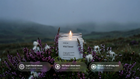 WILD FLOWER candle burning in highland meadow, light floral bloom 20-hour clean burn travel size callouts