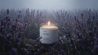 LAVENDER travel candle glowing amid misty purple lavender field, restful herbal floral evening atmosphere