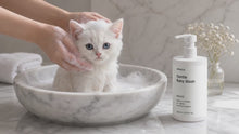 White kitten gently bathed in marble bowl with DELICATE gentle baby wash, hypoallergenic tear-free formula