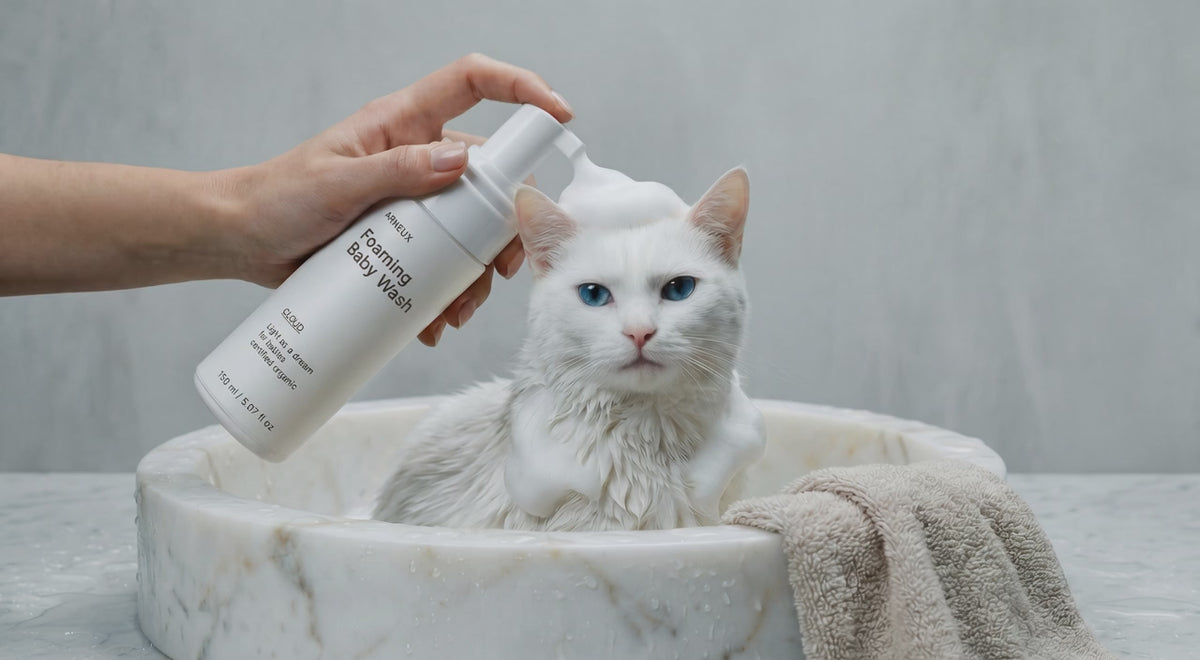 White cat being gently bathed with CLOUD foaming baby wash, ultra-gentle hypoallergenic formula