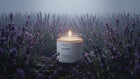 LAVENDER travel candle glowing amid misty purple lavender field, restful herbal floral evening atmosphere